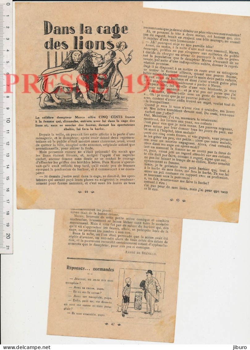 4vues Costume Femme Corse âne? Falaises Cirque Dompteur Marco Lions Cage Rasoir évocation Blaireau Cloche Porte Sonnette - Sin Clasificación