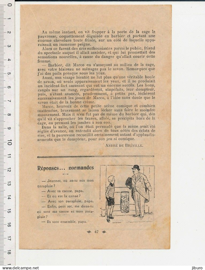 4vues Costume Femme Corse âne? Falaises Cirque Dompteur Marco Lions Cage Rasoir évocation Blaireau Cloche Porte Sonnette - Unclassified