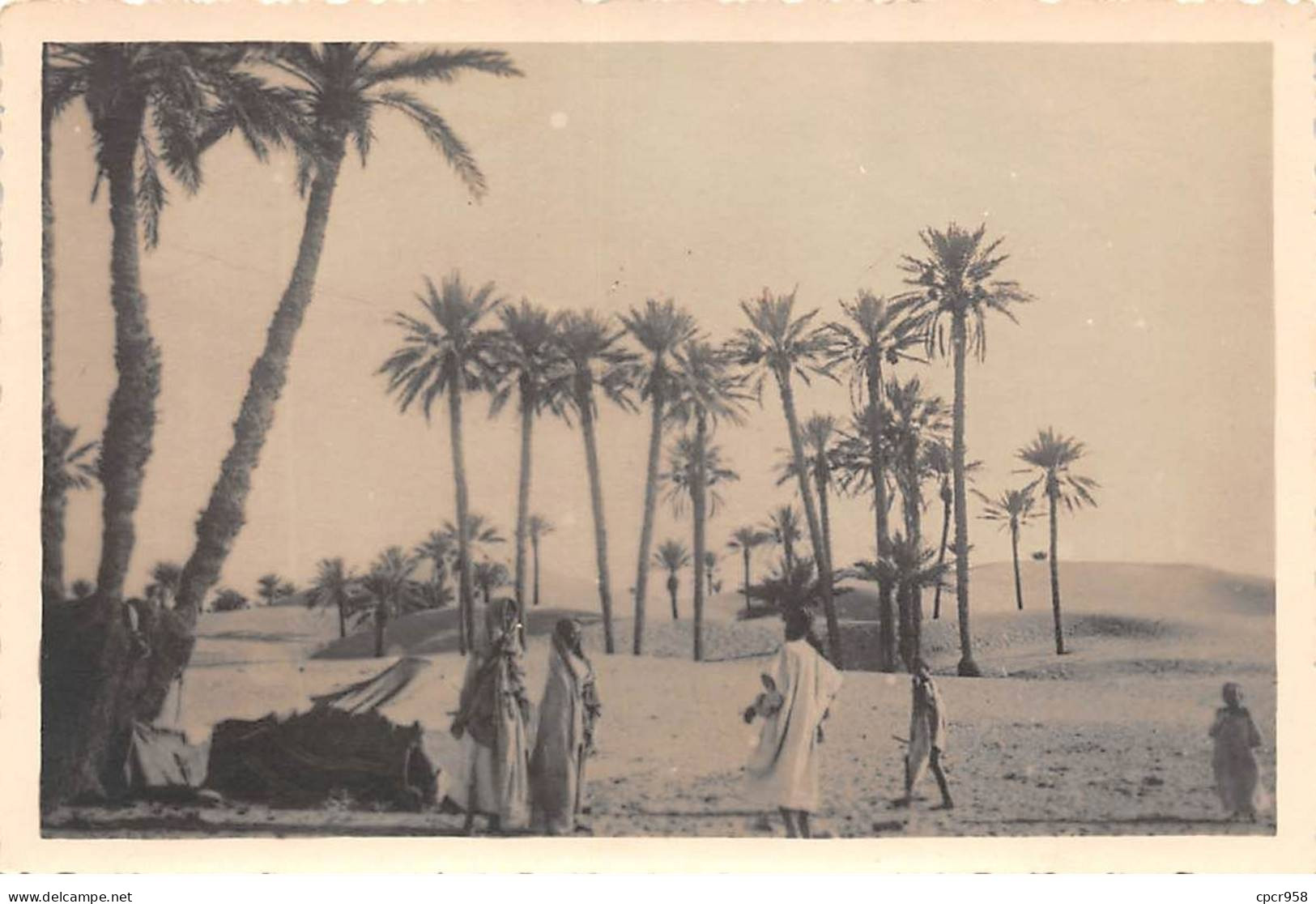 Egypte - N°83197 - Une Oasis Du Désert - Carte Photo - Autres & Non Classés