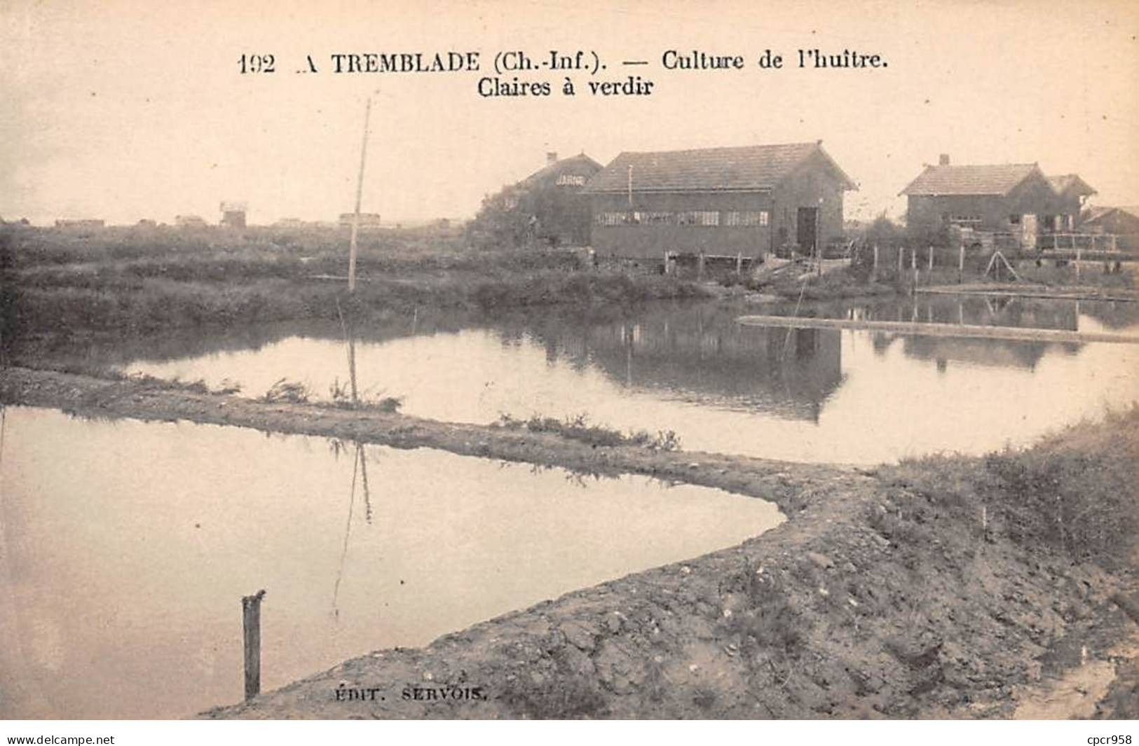 17 - LA TREMBLADE - SAN43220 - Culture De L'huître - Claires à Verdir - Métier - Agriculture - La Tremblade