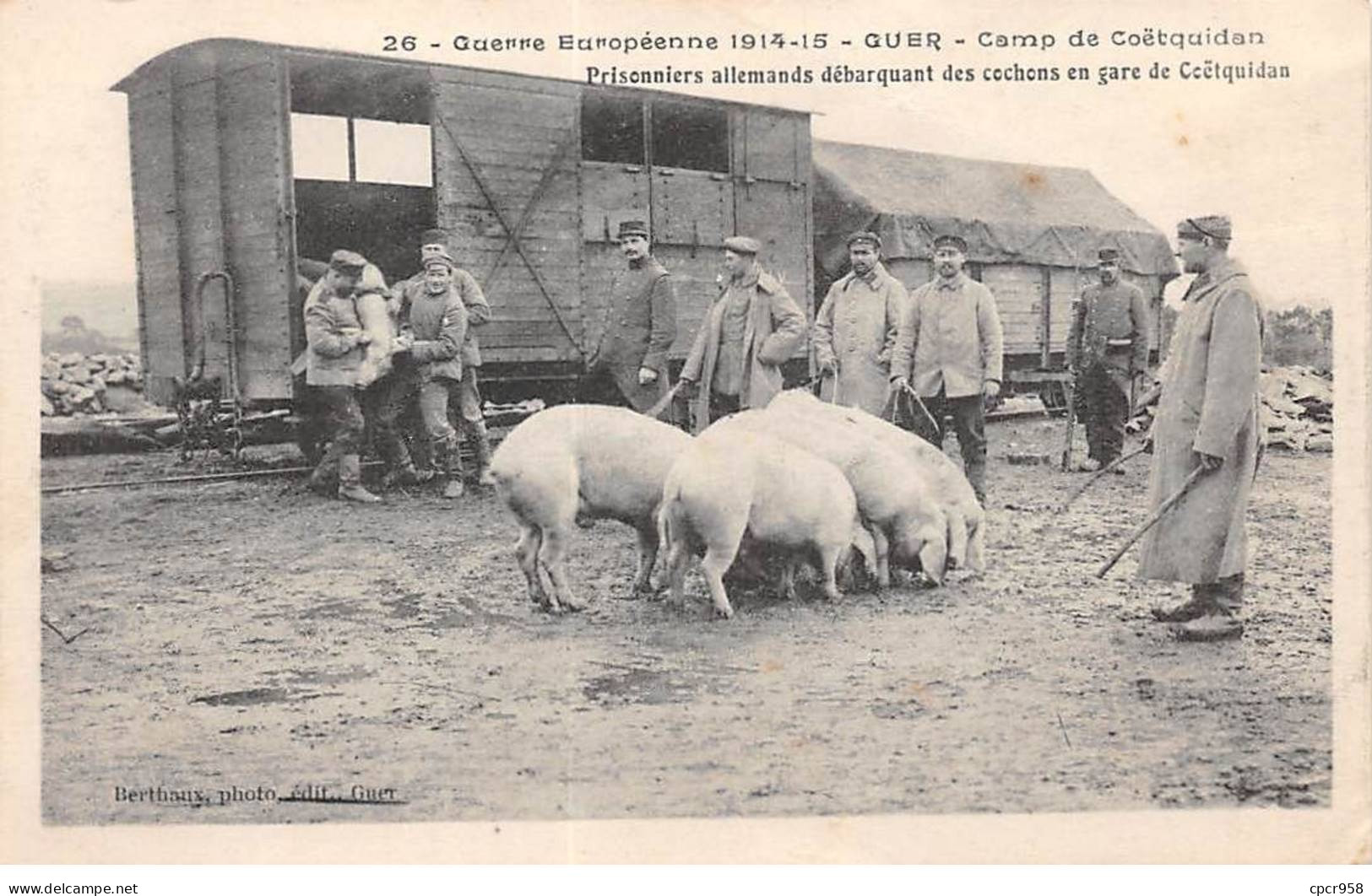 56 - COETQUIDAN - SAN37577 - Les Prisonniers Allemands Débarquant Des Cochons En Gare De Coëtquidan - Guer Cötquidan