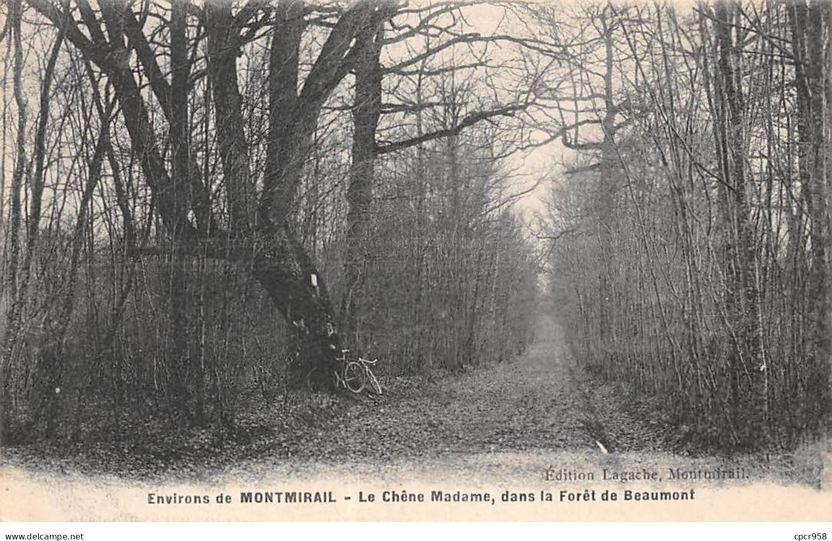 51 - MONTMIRAIL - SAN37476 - Le Chêne Madame, Dans La Forêt De Beaumont - Montmirail