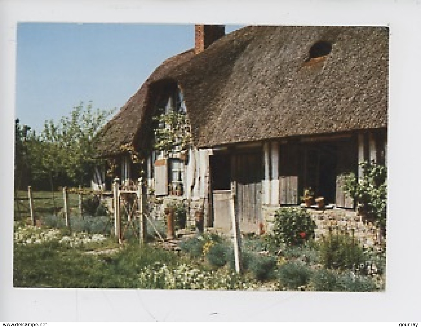 La Luxuriante Normandie, En Vallée D'Auge, Maison Normande Au Toit De Chaume (cp N°444 EKB) - Autres & Non Classés