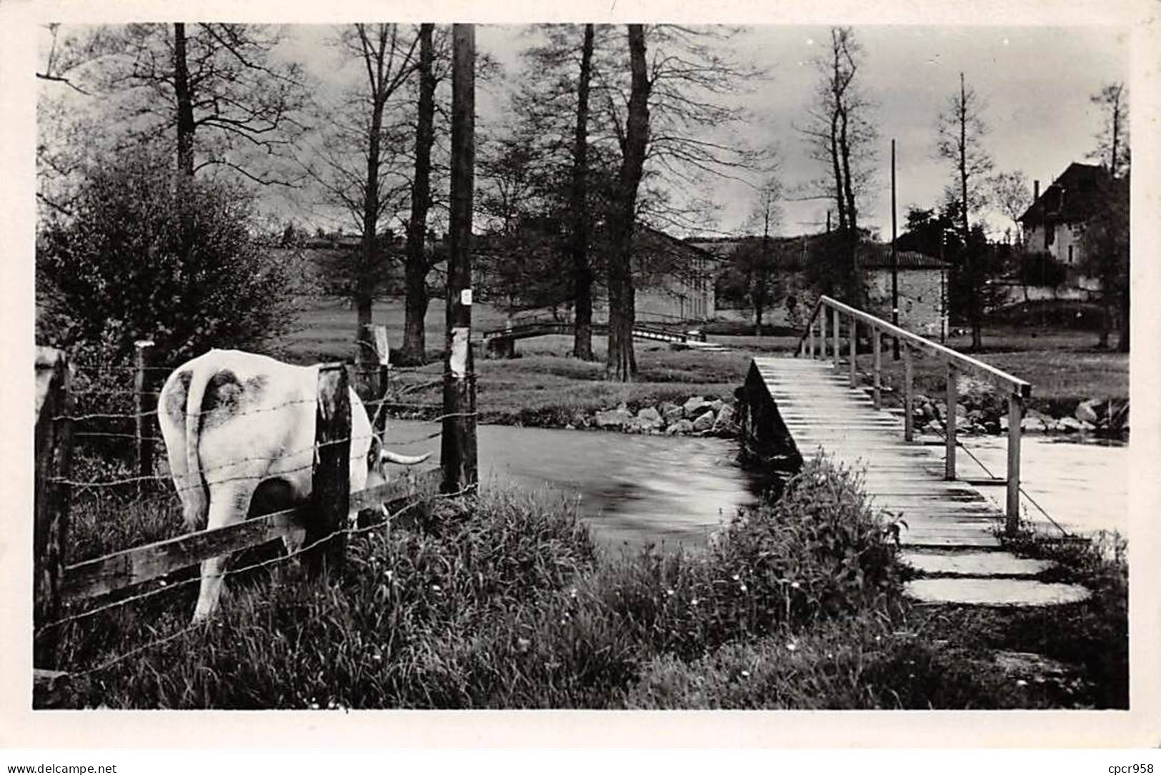 42 - CHARLIEU - SAN43531 - Passerelles Et Château De Tigny - CPSM 14x9 Cm - Charlieu