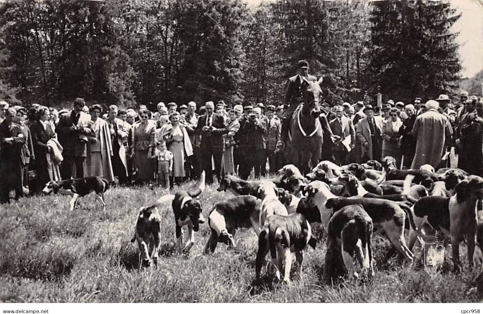 CHASSE - SAN37925 - Forêt De Tronçais - Chasse à Courre - La Meute - Caza