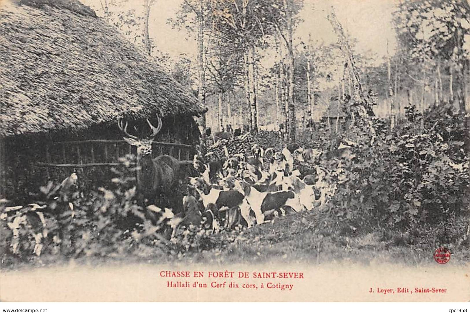 CHASSE - SAN37919 - Chasse En Forêt De Saint Sever - Hallali D'un Cerf Dix Cors - A Cotigny - Chasse