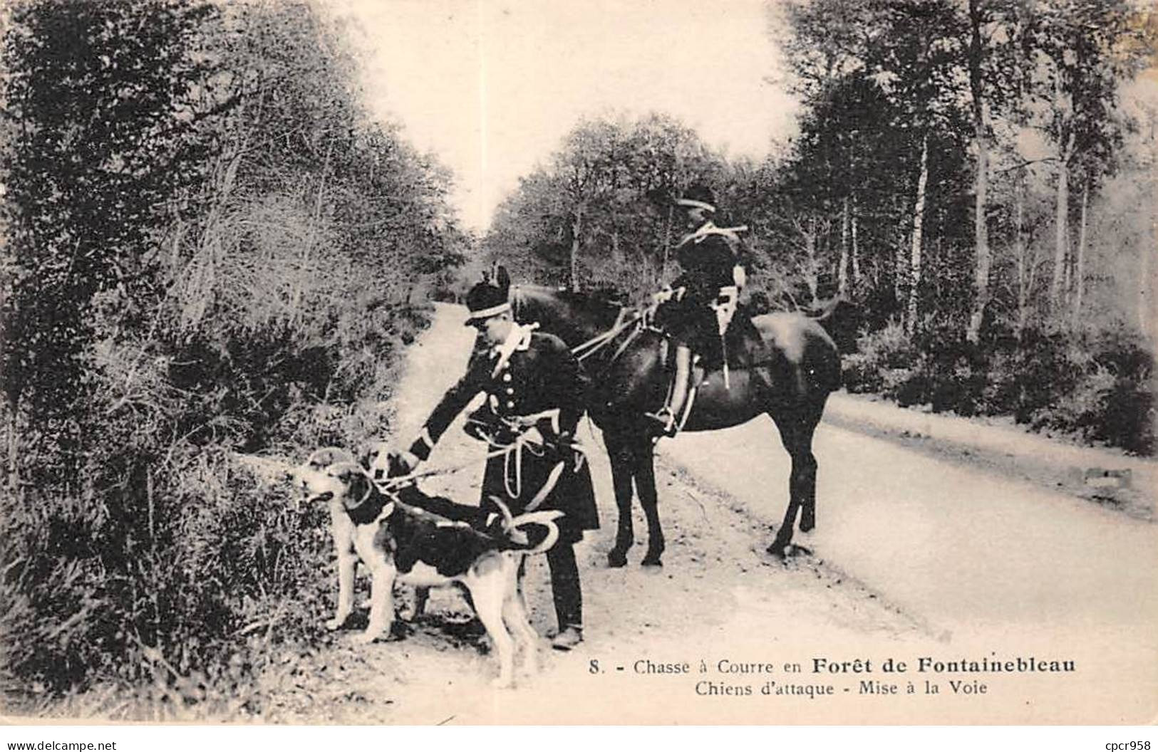 CHASSE - SAN37837 - Chasse à Courre En Forêt De Fontainebleau - Chiens D'attaque - Mise à La Voie - Jacht