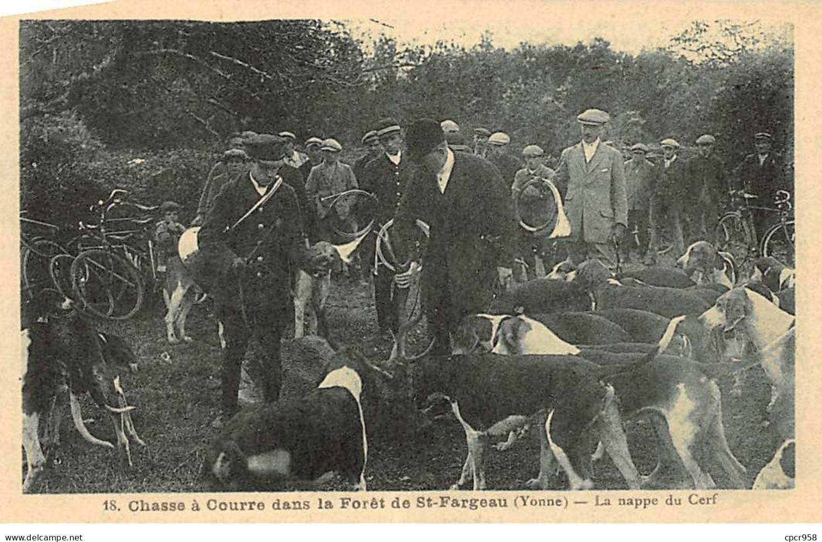 CHASSE - SAN37896 - Chasse à Courre Dans La Forêt De St Fargeau - La Nappe Du Cerf - Chasse