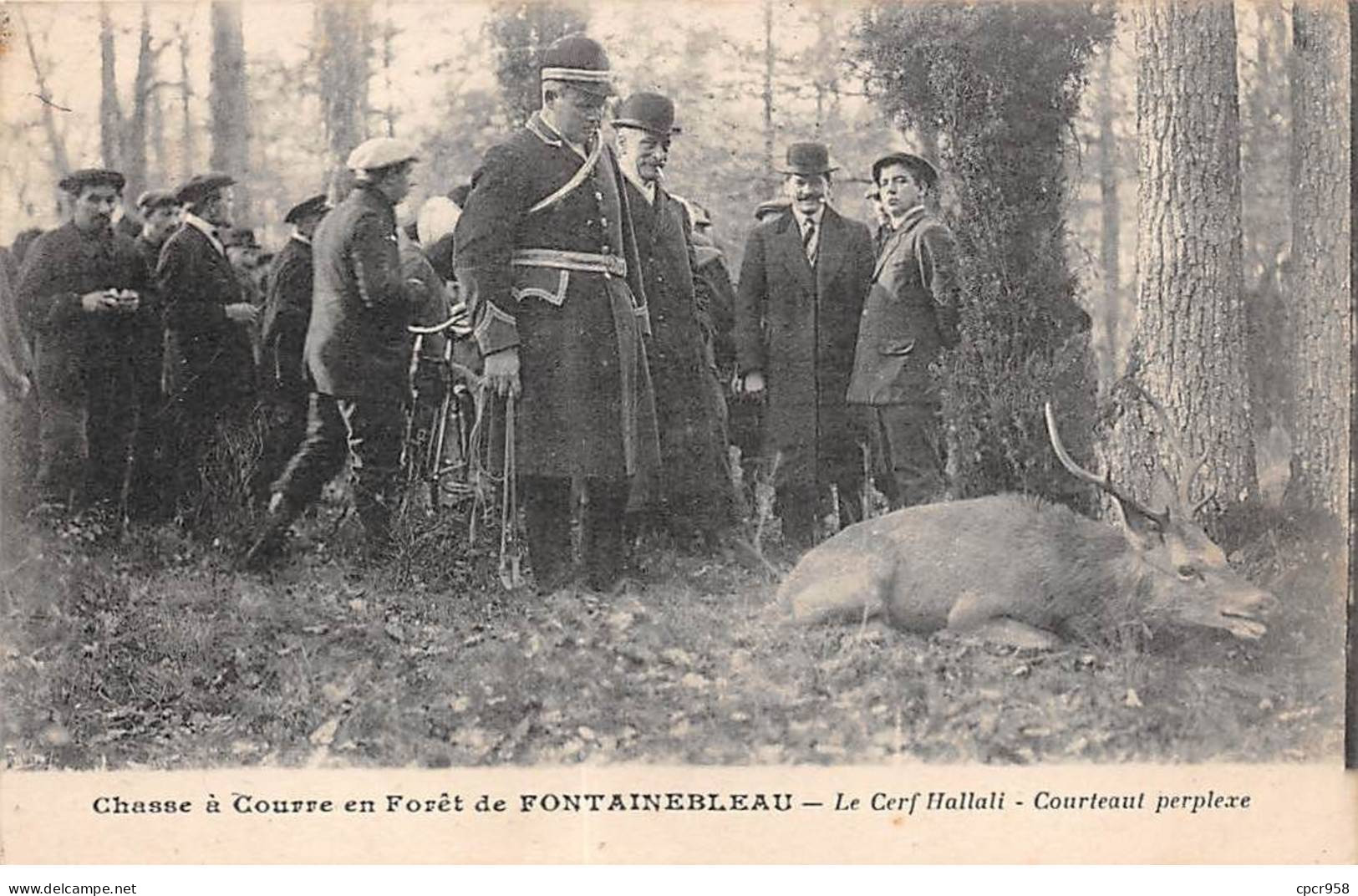 CHASSE - SAN37829 - Chasse à Courre En Forêt De Fontainebleau - Le Cerf Hallali - Courteaut Perplexe - Jacht