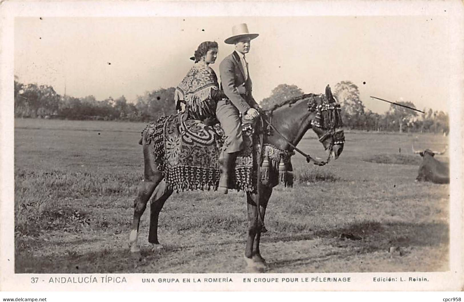 ESPAGNE - SAN39670 - Andalucia Tipica - Una Grupa En La Romeira - En Croupre Pour Le Pèlerinage - Otros & Sin Clasificación