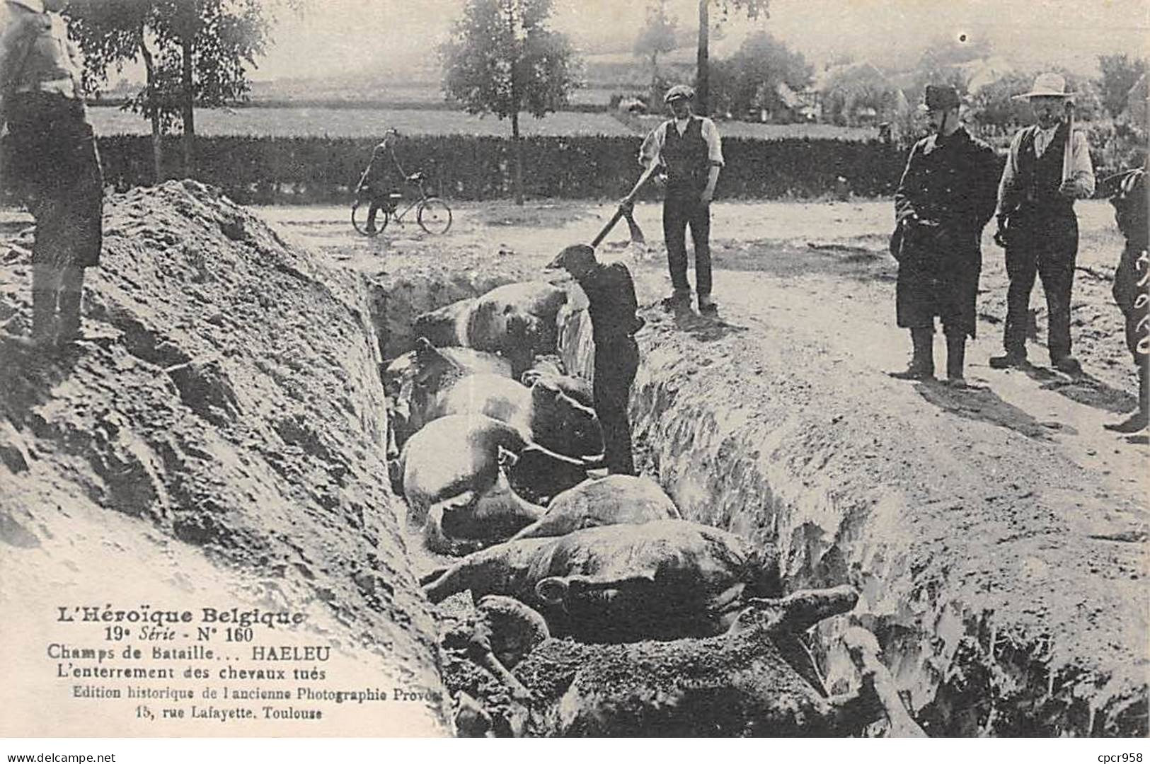 BELGIQUE - HAELEU - SAN39239 - Champs De Bataille - L'enterrement Des Chevaux Tués - Autres & Non Classés