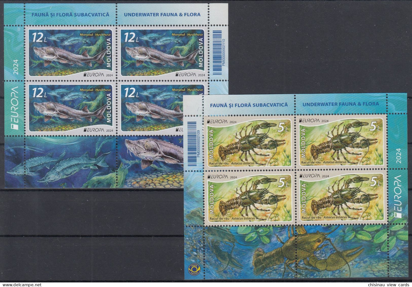 MOLDOVA 2024 Europa CEPT.Underwater Flora And Fauna.Booklet.MNH - 2024