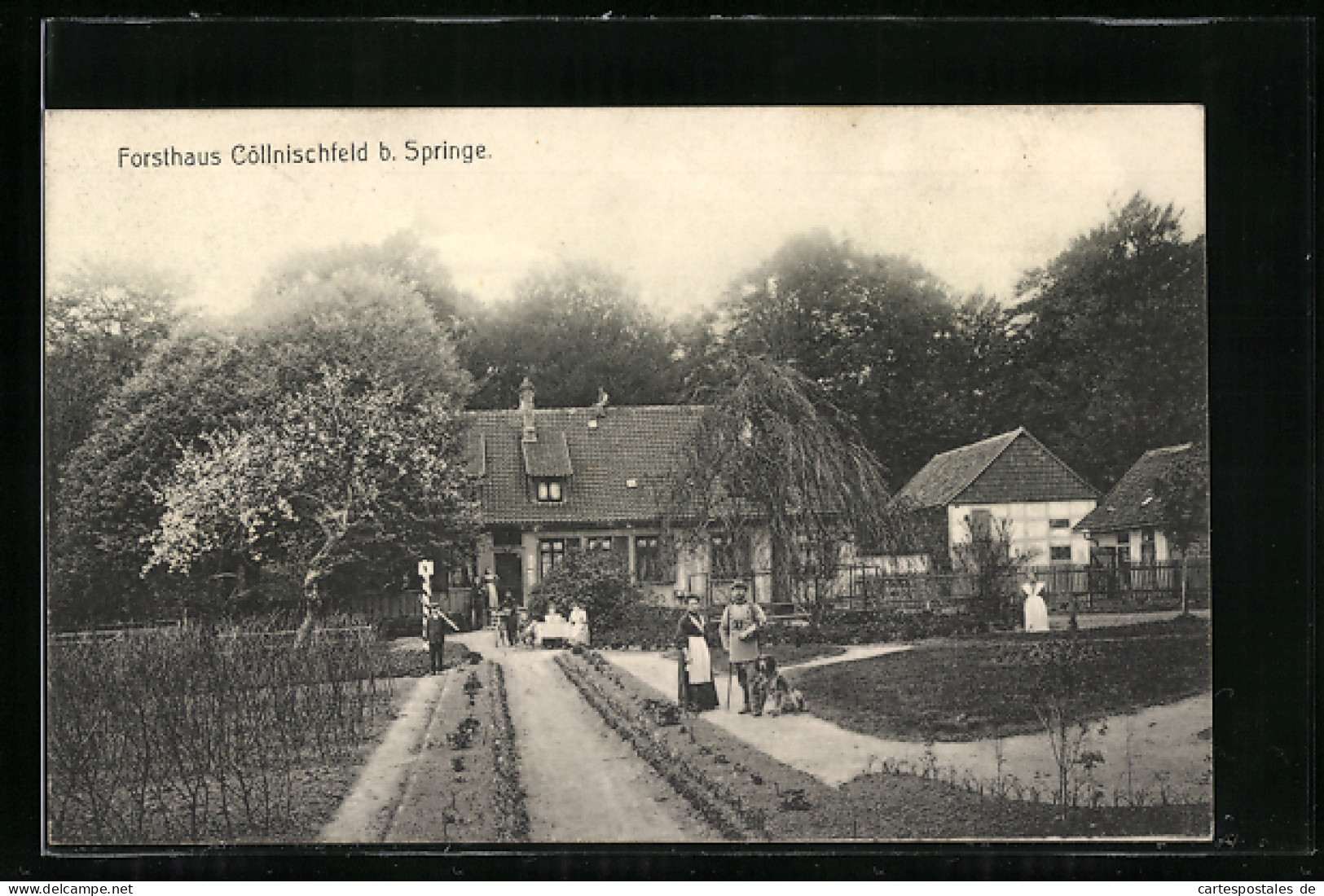 AK Springe, Forsthaus Cöllnischfeld Mit Garten  - Hunting