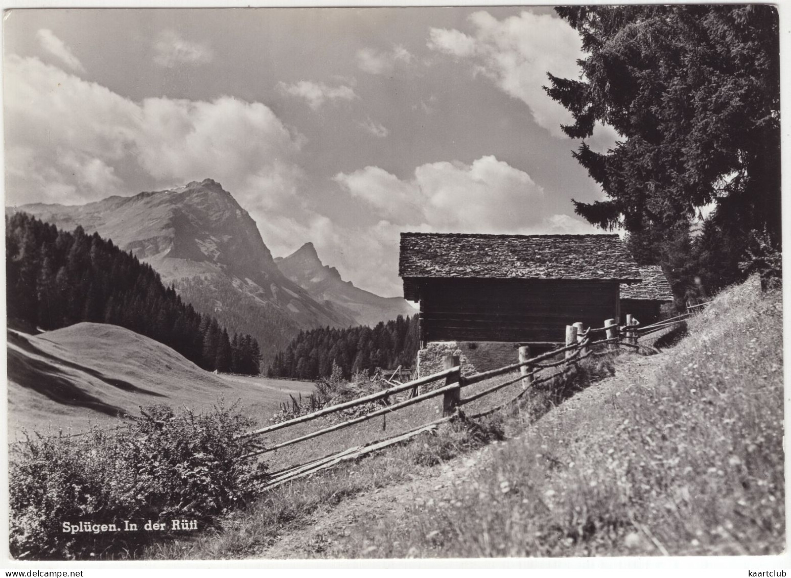 Splügen. In Der Rüti - (Schweiz/Suisse/Switzerland) - 1961 - Splügen