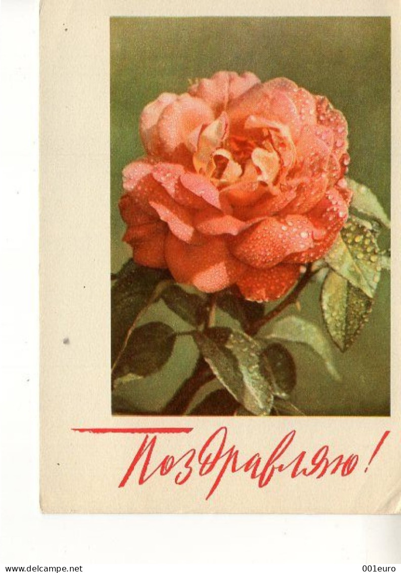 RUSSIA [USSR]: 1968 GREETINGS CARD, FLOWER, ROSE Unused Postal Stationery Card - Registered Shipping! - 1960-69