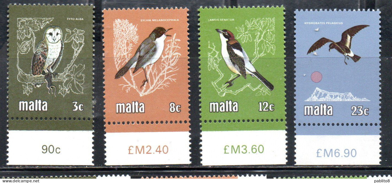 MALTA 1981 FAUNA ANIMALS BIRDS UCCELLI ANIMALI COMPLETE SET SERIE COMPLETA MNH - Malte