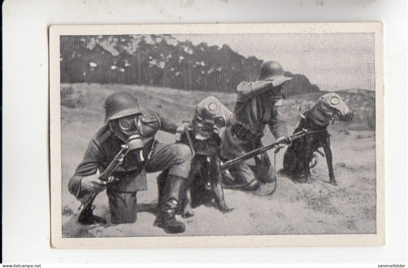 Mit Trumpf Durch Alle Welt Reichswehr Manöverbilder II Meldehund Mit Gasmaske     B Serie 13 #4 Von 1933 - Other Brands