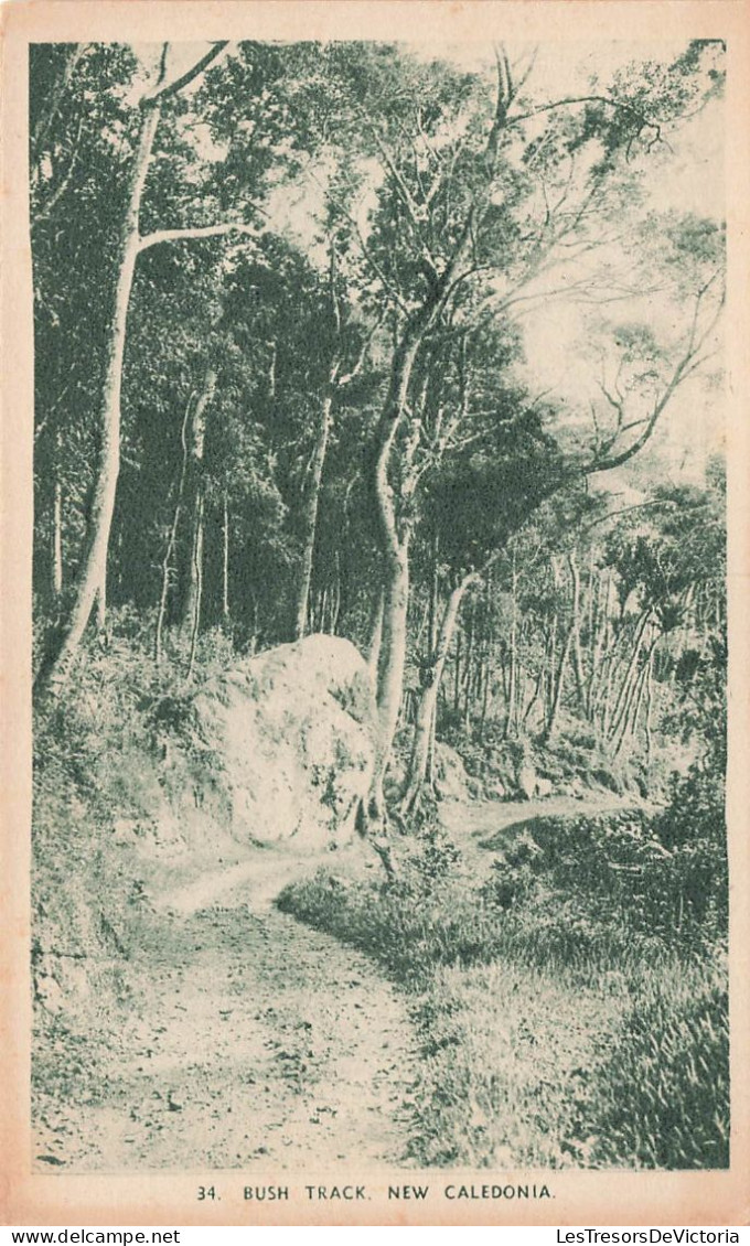 FRANCE - Bush Track - New Caledonia - Vue Générale - Vue Sur Une Allée - Carte Postale Ancienne - Nouvelle Calédonie