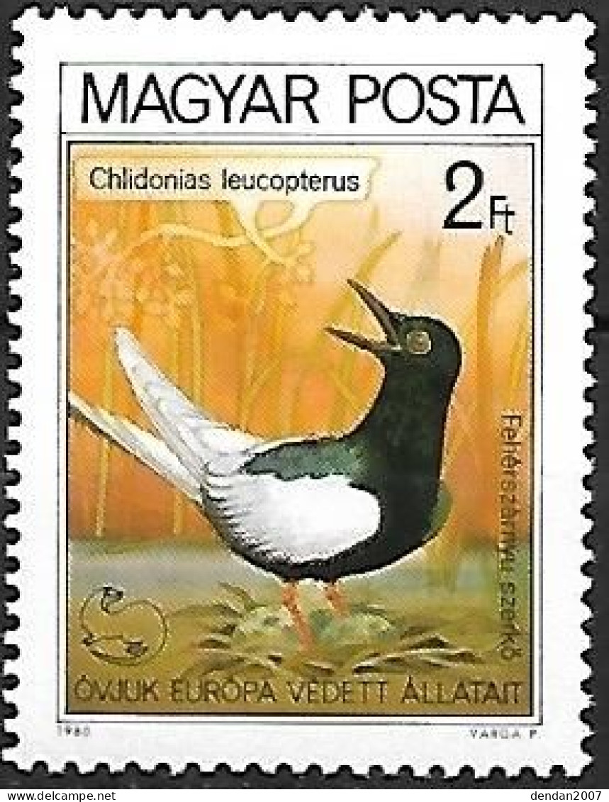 Hungary (Magyar) - MNH ** 1980 :     White-winged Tern  -  Chlidonias Leucopterus - Mouettes