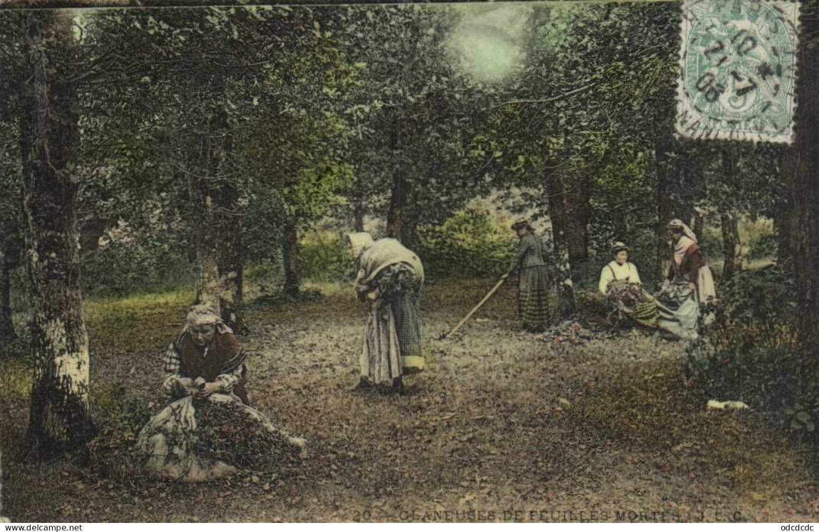 Glaneuse De Feuilles Mortes Colorisée Glacée RV - Autres & Non Classés