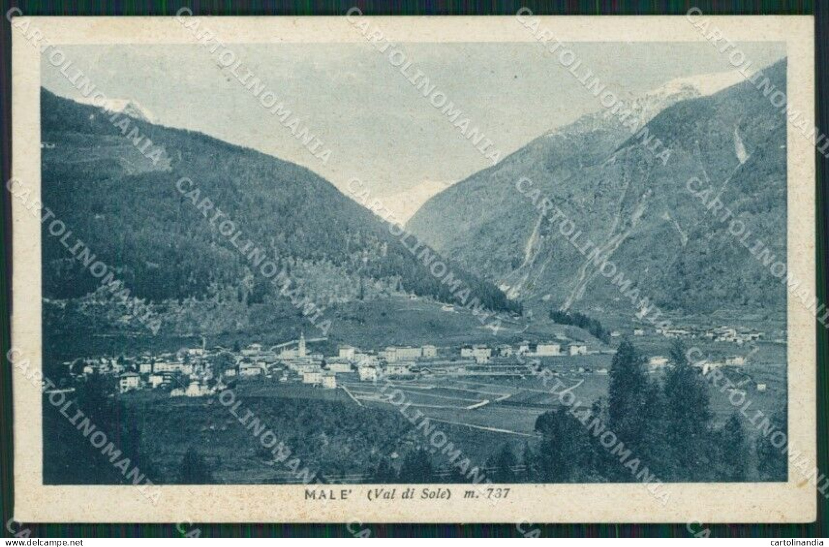 Trento Malé Cartolina KV3616 - Trento