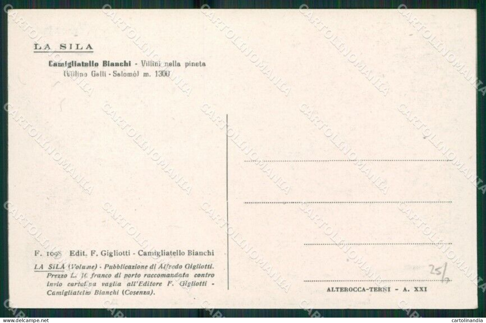 Cosenza Spezzano Camigliatello Bianchi Cartolina KV3704 - Cosenza