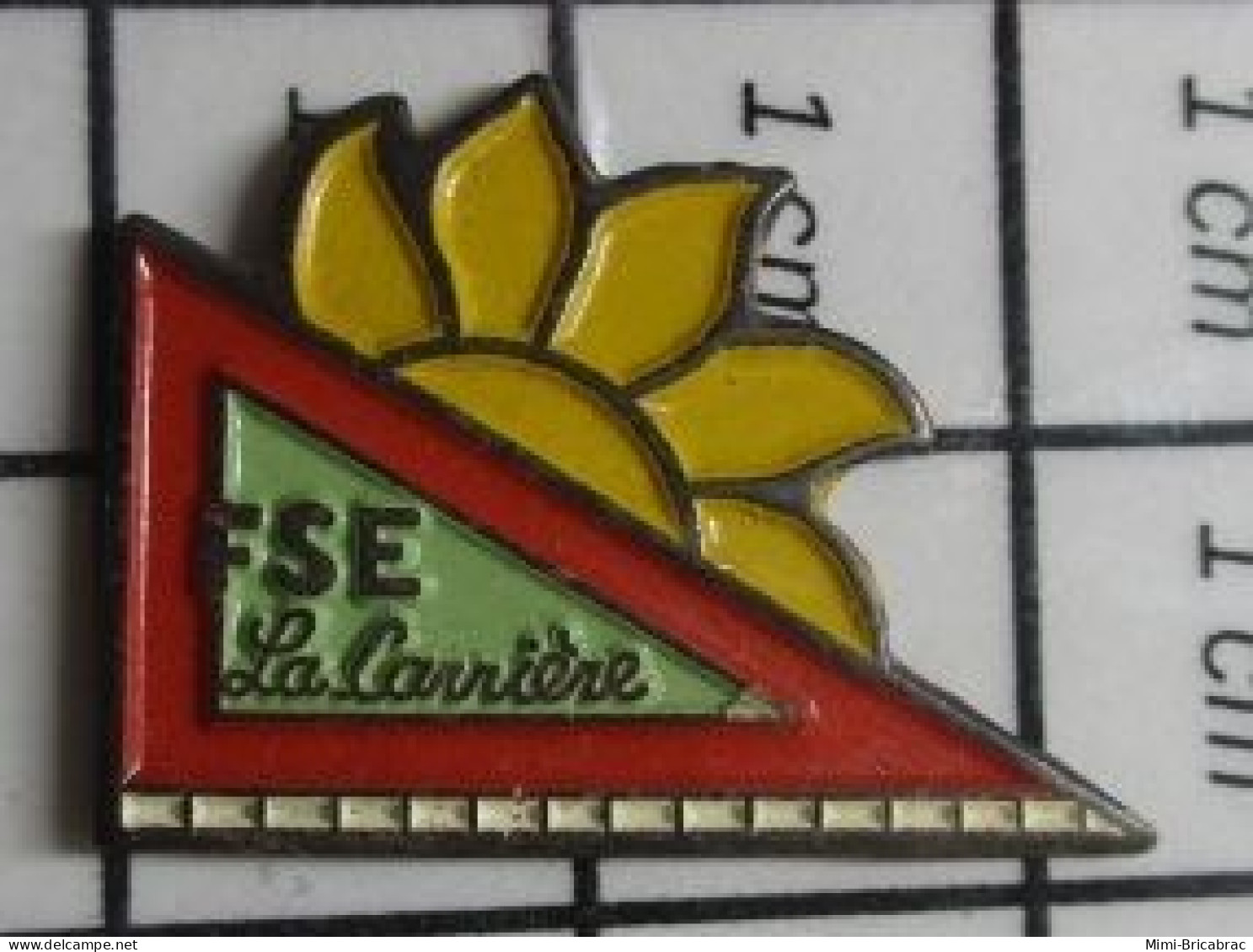 222 Pin's Pins / Beau Et Rare : MARQUES / FSE LA CARRIERE EQUERRE ET SOLEIL - Marche