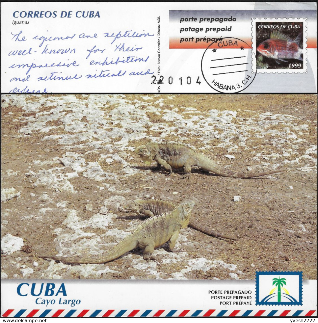 Cuba 2004. Entier Postal, Envoi International. Cayo Largo, Iguanes Communistes - Altri & Non Classificati