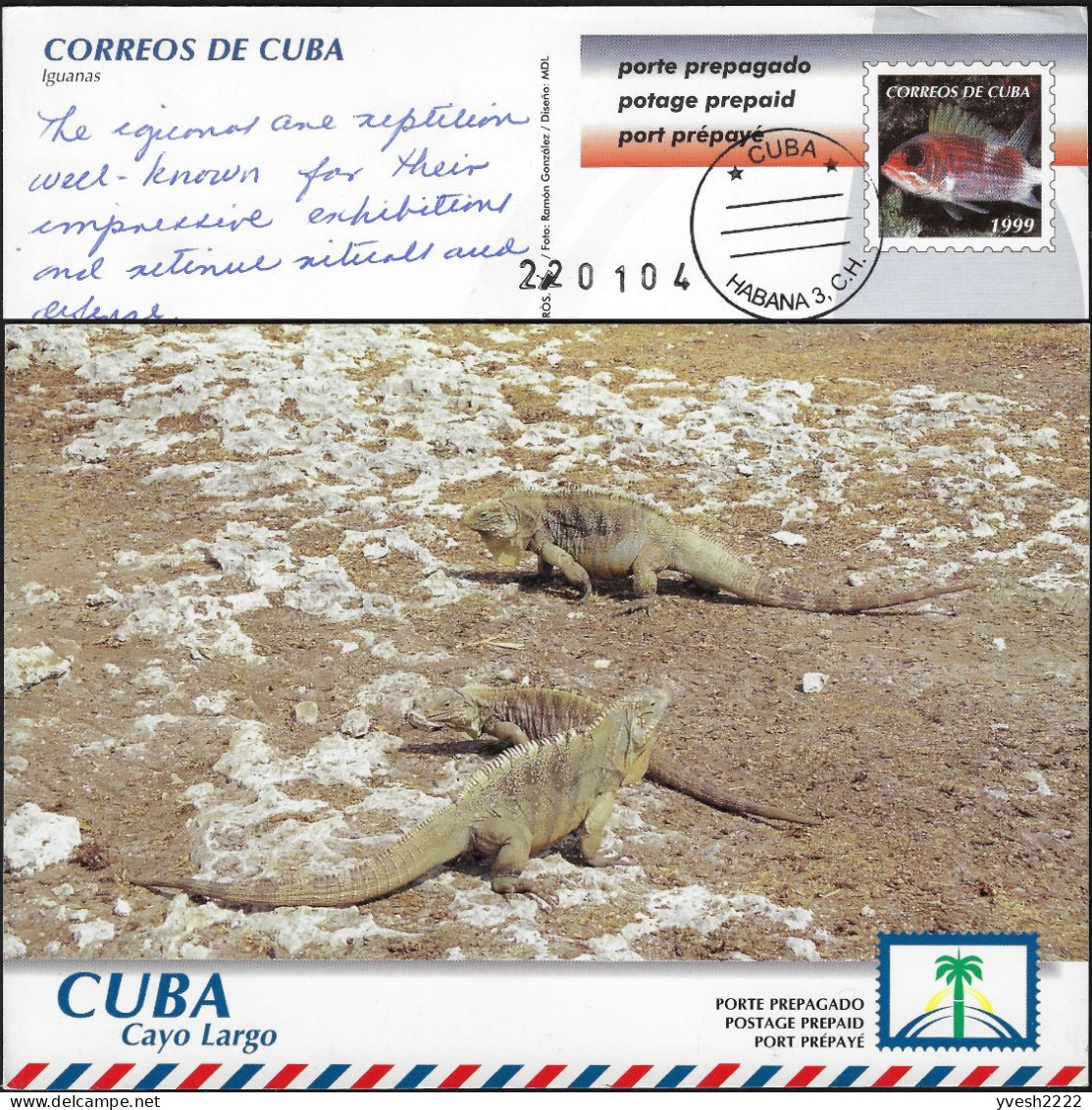 Cuba 2004. Entier Postal, Envoi International. Cayo Largo, Iguanes Communistes - Andere & Zonder Classificatie