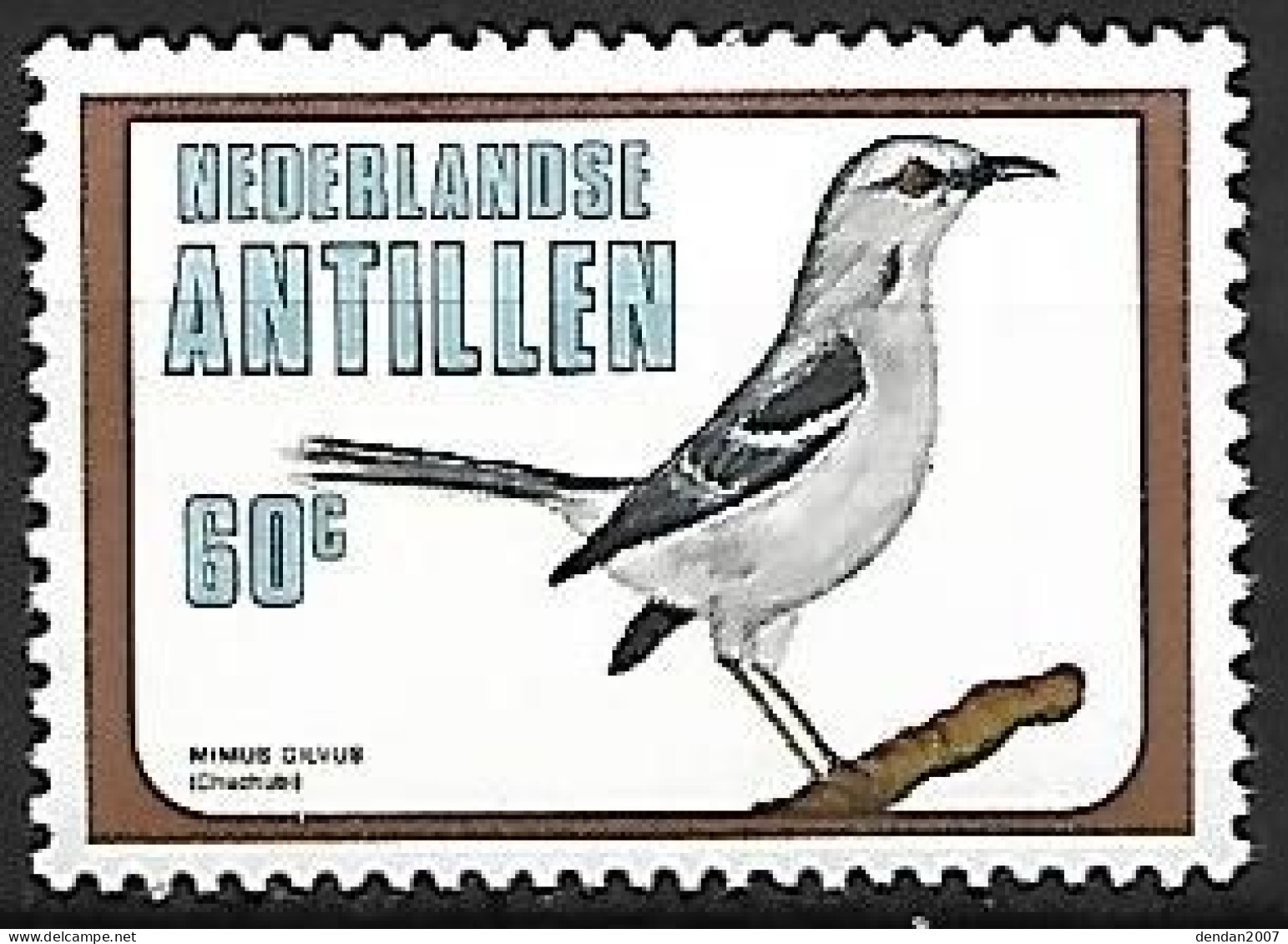 Netherlands Antilles (Nederlandse Antillen) - MNH ** 1980 :  Tropical Mockingbird  -  Mimus Gilvus - Uccelli Canterini Ed Arboricoli