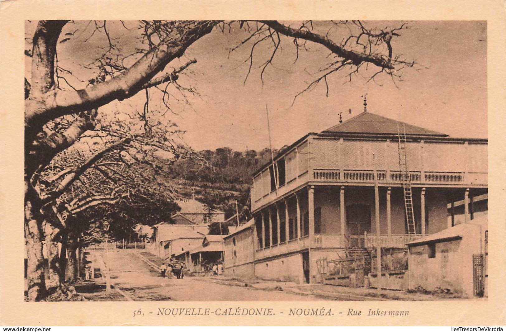 FRANCE - La Nouvelle Calédonie - Nouméa - Rue Inkermann - Carte Postale Ancienne - Nouvelle Calédonie