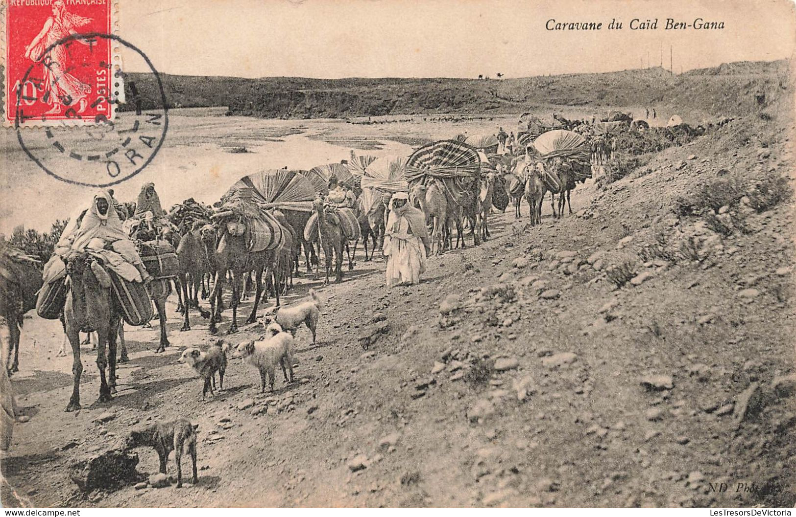 ALGERIE - Caravane Du Caïd Ben Gana - Animé - Chameaux - Dromadaires - Vue Générale - Carte Postale Ancienne - Hombres