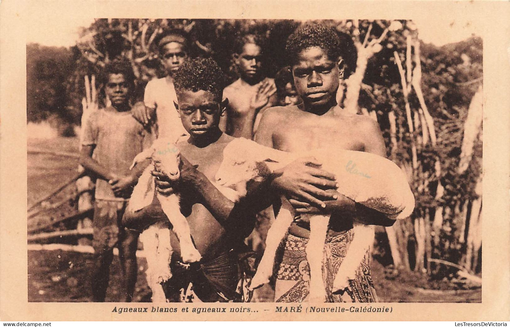 FRANCE - La Nouvelle Calédonie - Maré - Agneaux Blancs Et Agneaux Noirs - Enfants - Animé - Carte Postale Ancienne - Nouvelle Calédonie