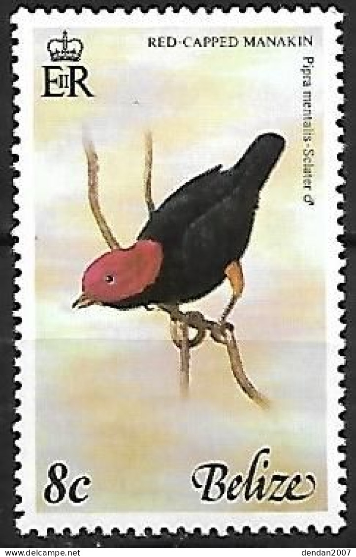 Belize - MNH ** 1977 :  Red-capped Manakin -  Ceratopipra Mentalis - Songbirds & Tree Dwellers