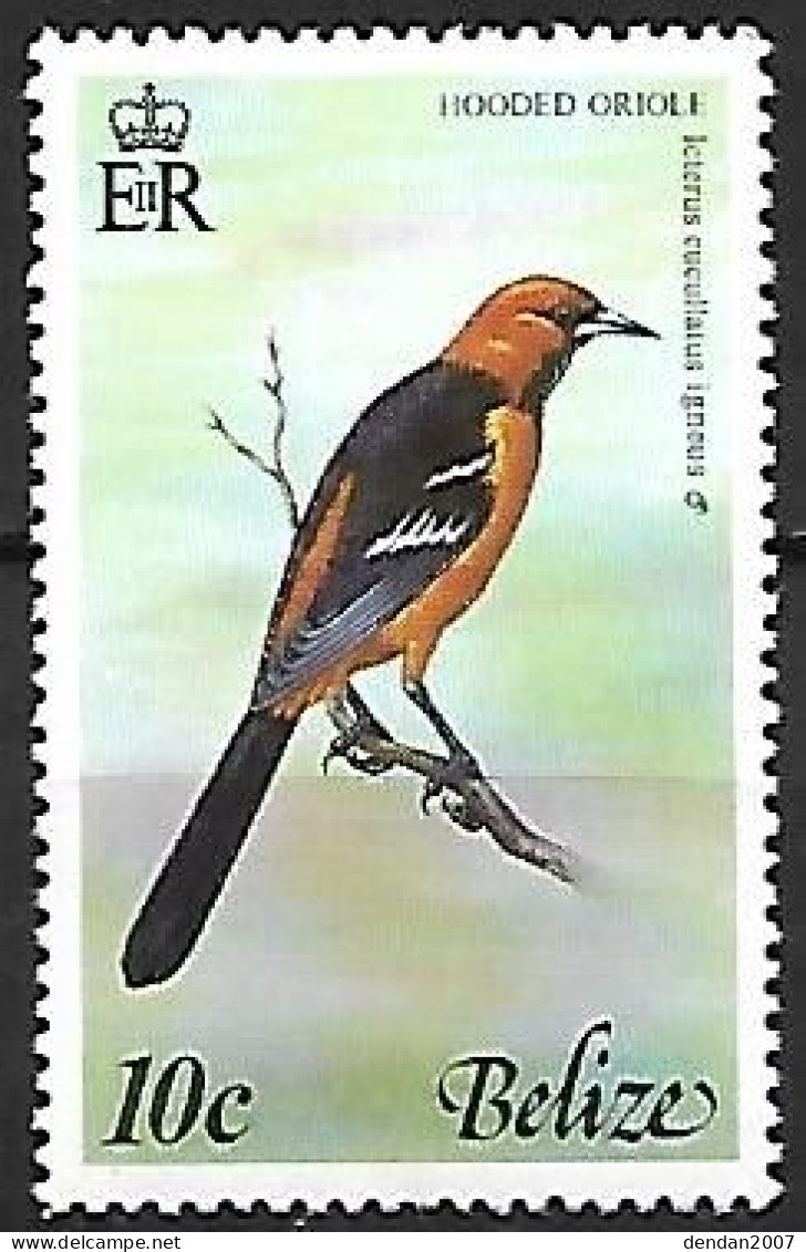 Belize - MNH ** 1977 :  Hooded Oriole  -  Icterus Cucullatus - Uccelli Canterini Ed Arboricoli