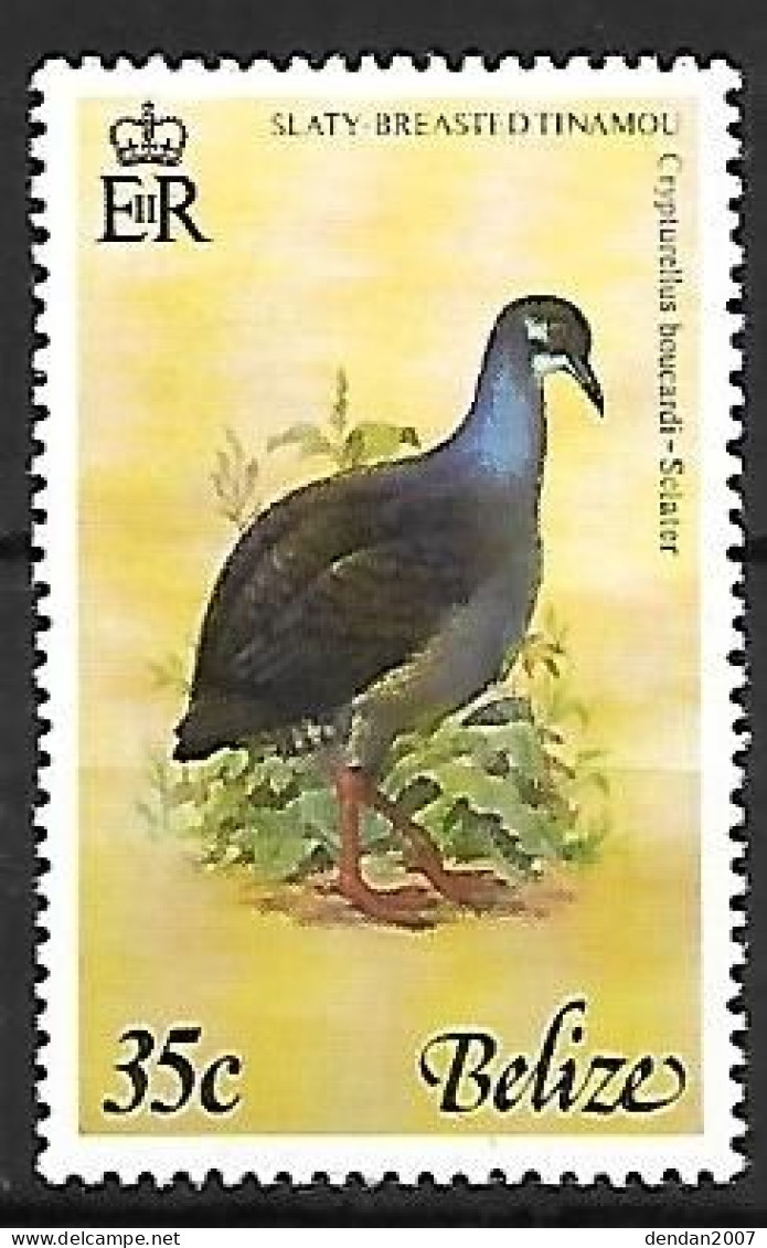 Belize - MNH ** 1977 :  Slaty-breasted Tinamou  -  Crypturellus Boucardi - Other & Unclassified