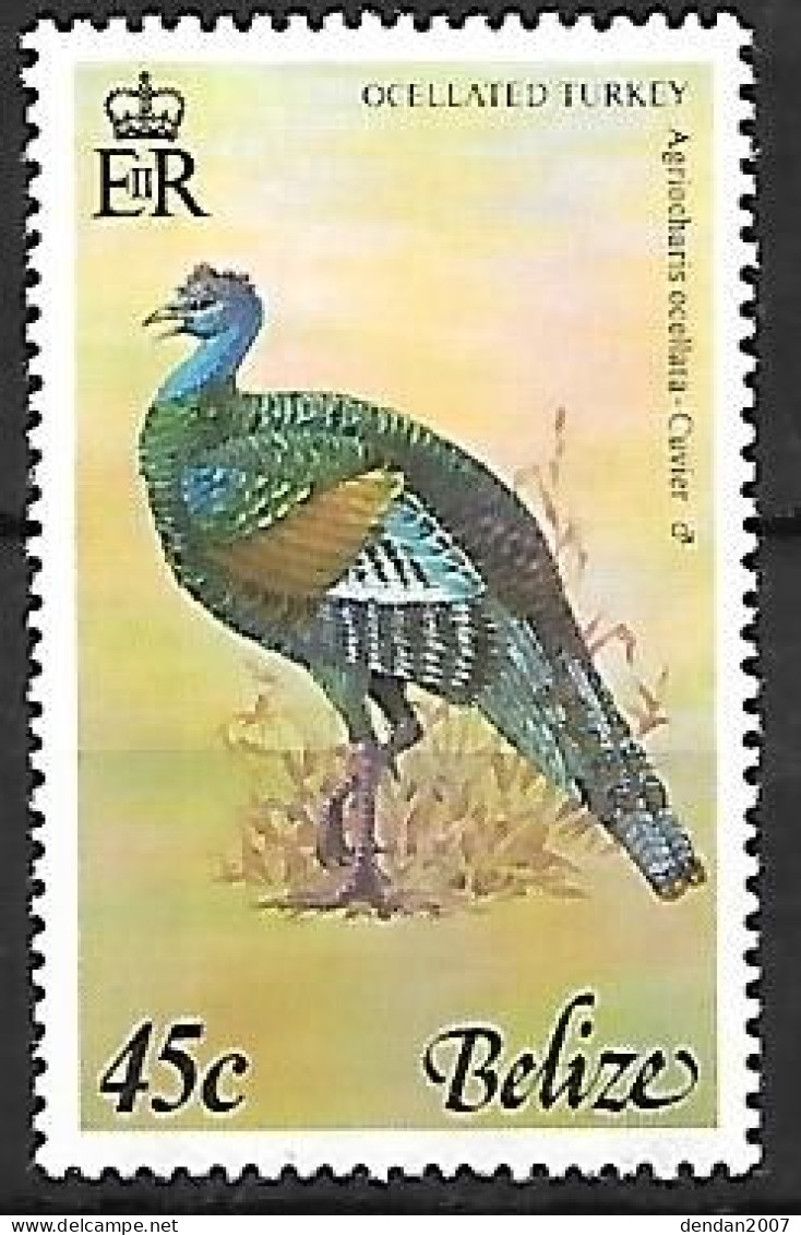 Belize - MNH ** 1977 :  Ocellated Turkey  -  Meleagris Ocellata - Hühnervögel & Fasanen