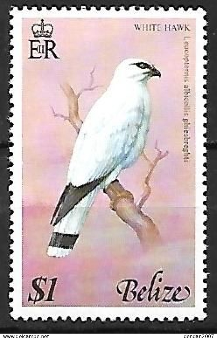 Belize - MNH ** 1977 :   White Hawk  -  Pseudastur Albicollis - Águilas & Aves De Presa