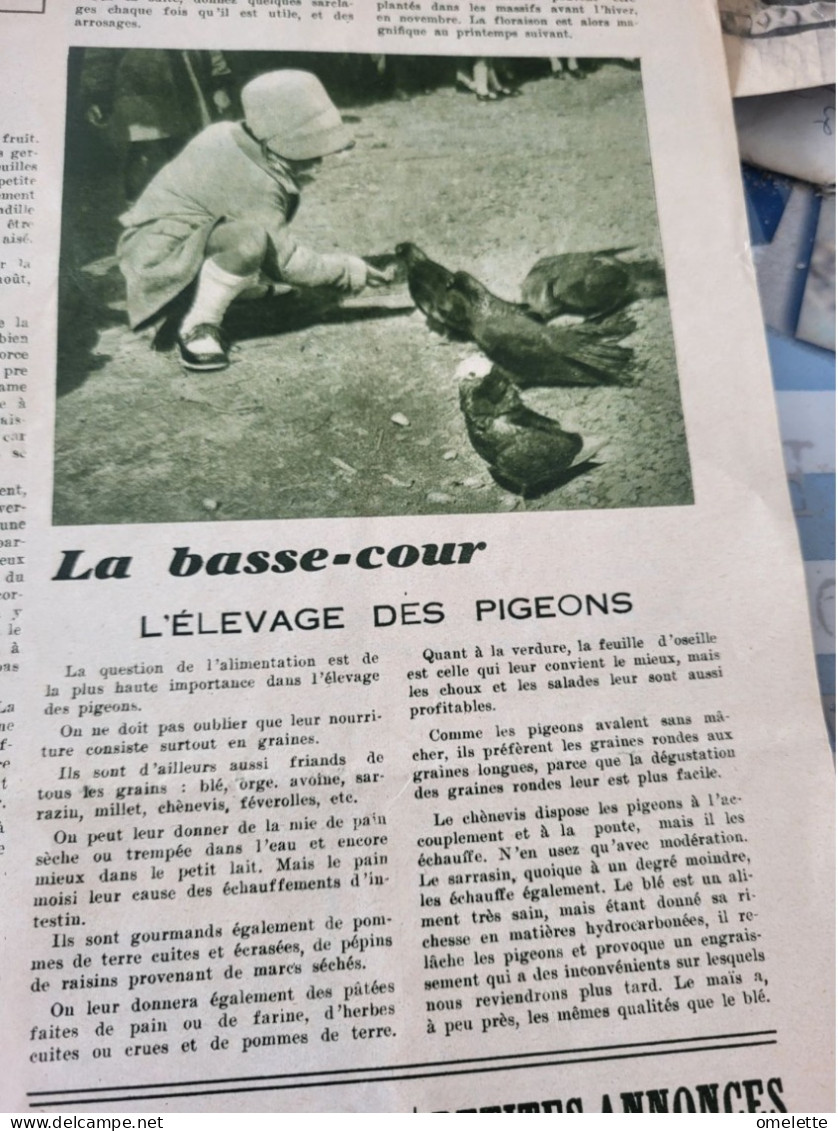 P J 35/ NOUVELLE COMETE/INVENTION TIMBRE POSTE /PIGEONS - 1900 - 1949