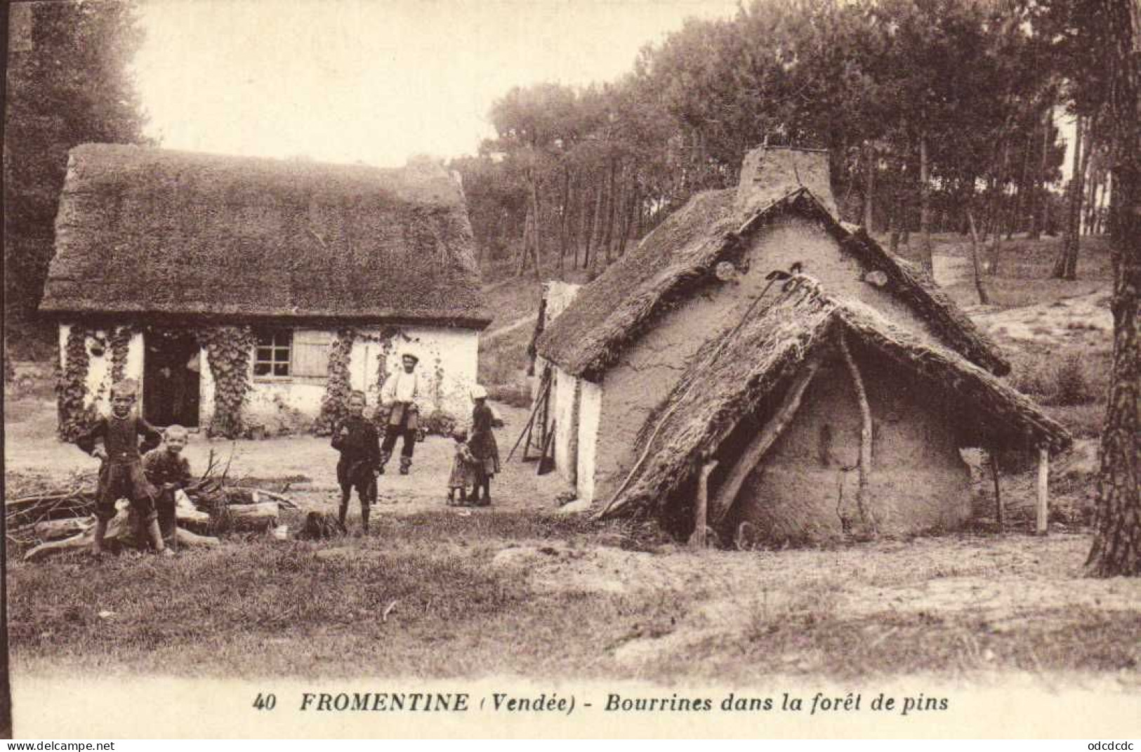 FROMENTINE ( Vendée) Bourrines Dans La Foret De Pins Animée RV - Sonstige & Ohne Zuordnung