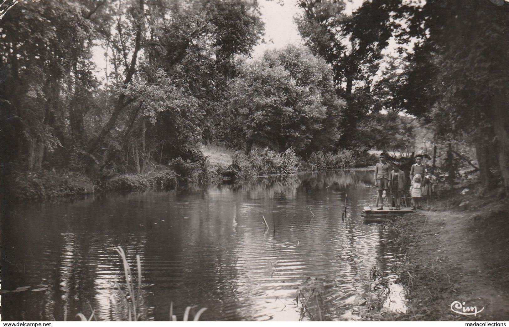 Ozouer Le Voulgis (77- Seine Et Marne) Un Coin Poissonneux - Other & Unclassified