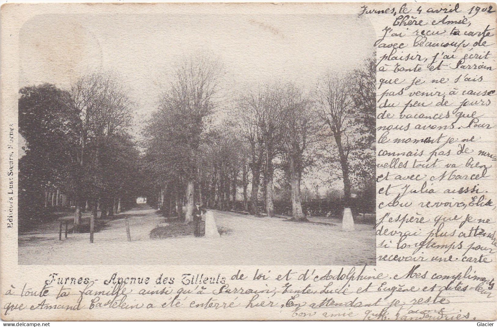 Furnes - Avenue Des Tilleuls - Veurne