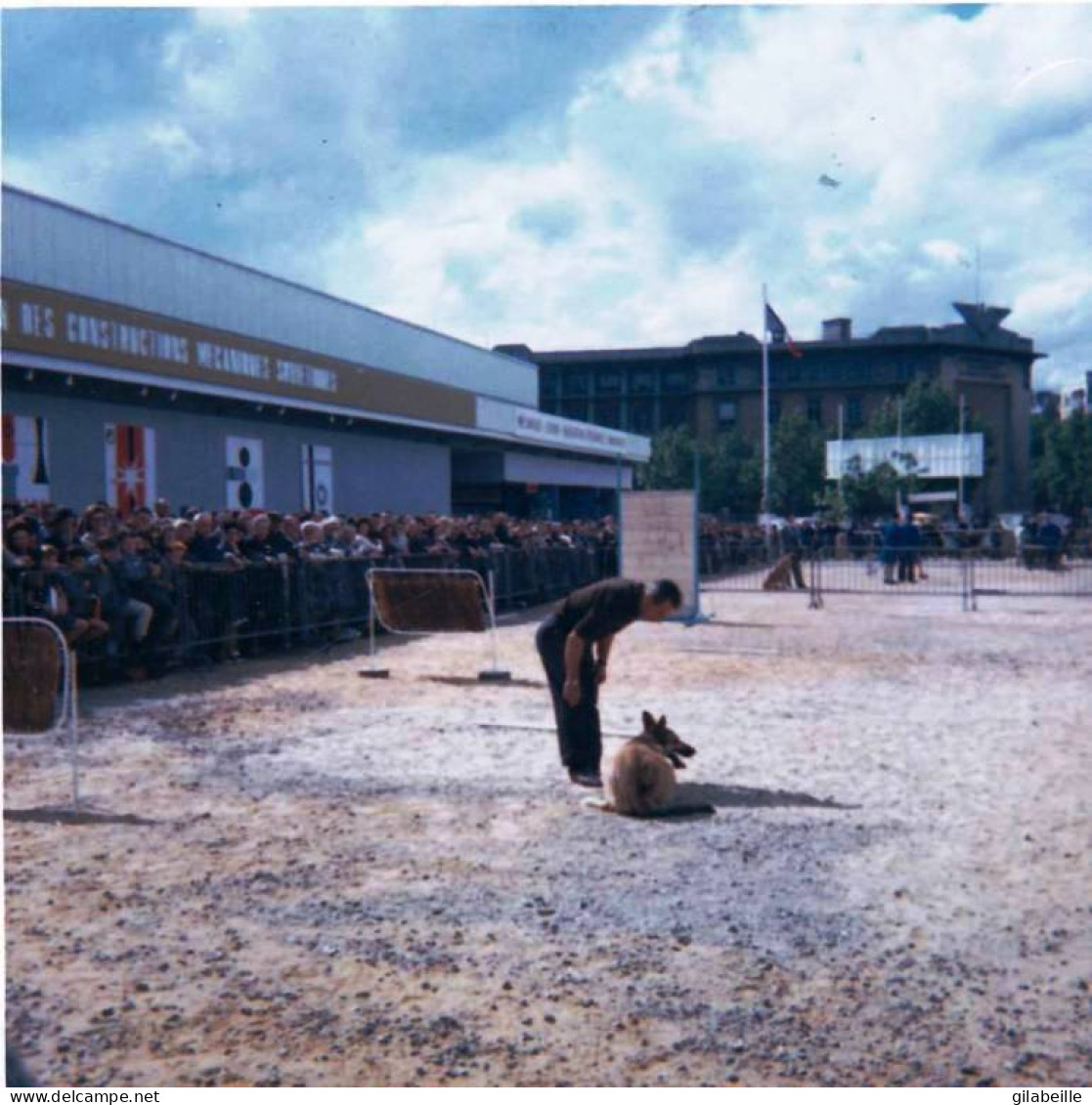 Photo Originale -  Foire De PARIS -MAI 1965 -concours Des Maitres Chien Pour Entrer Dans La Police -epreuve D'immobilité - Lieux