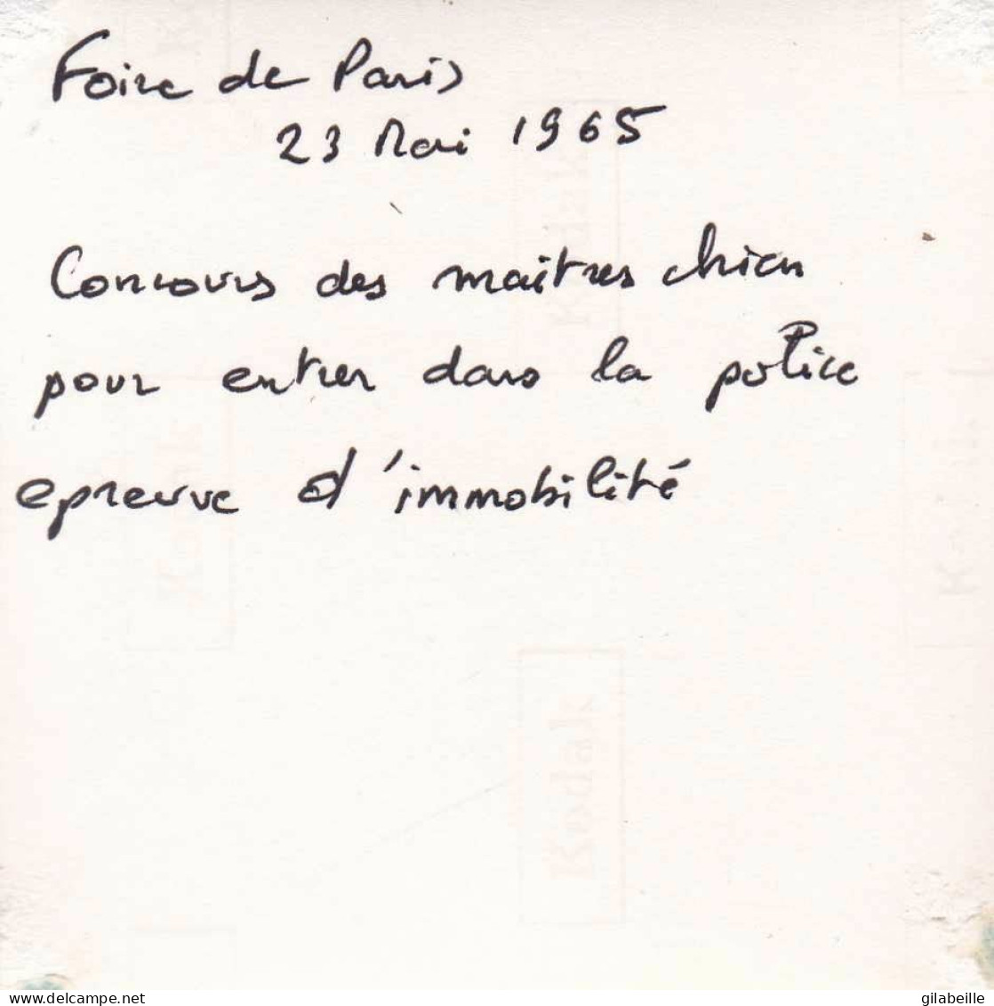 Photo Originale -  Foire De PARIS -MAI 1965 -concours Des Maitres Chien Pour Entrer Dans La Police -epreuve D'immobilité - Lieux