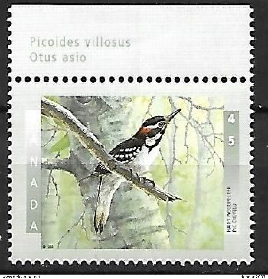 Canada - MNH ** 1998 :  Hairy Woodpecker  -  Leuconotopicus Villosus - Specht- & Bartvögel