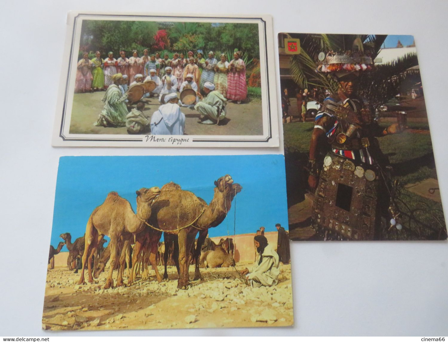 MAROC TIPICO - Lot Des 3 Cartes - Sonstige & Ohne Zuordnung