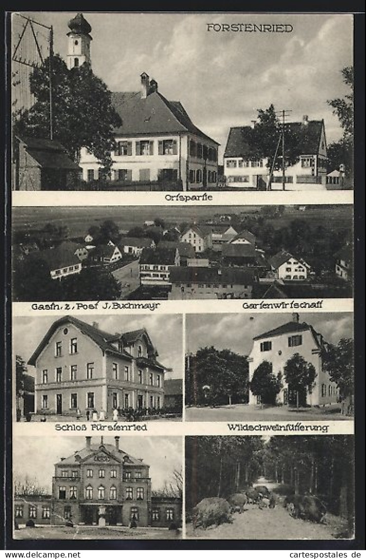 AK München-Forstenried, Gasthof Zur Post, Schloss, Wildschweinfütterung  - Muenchen