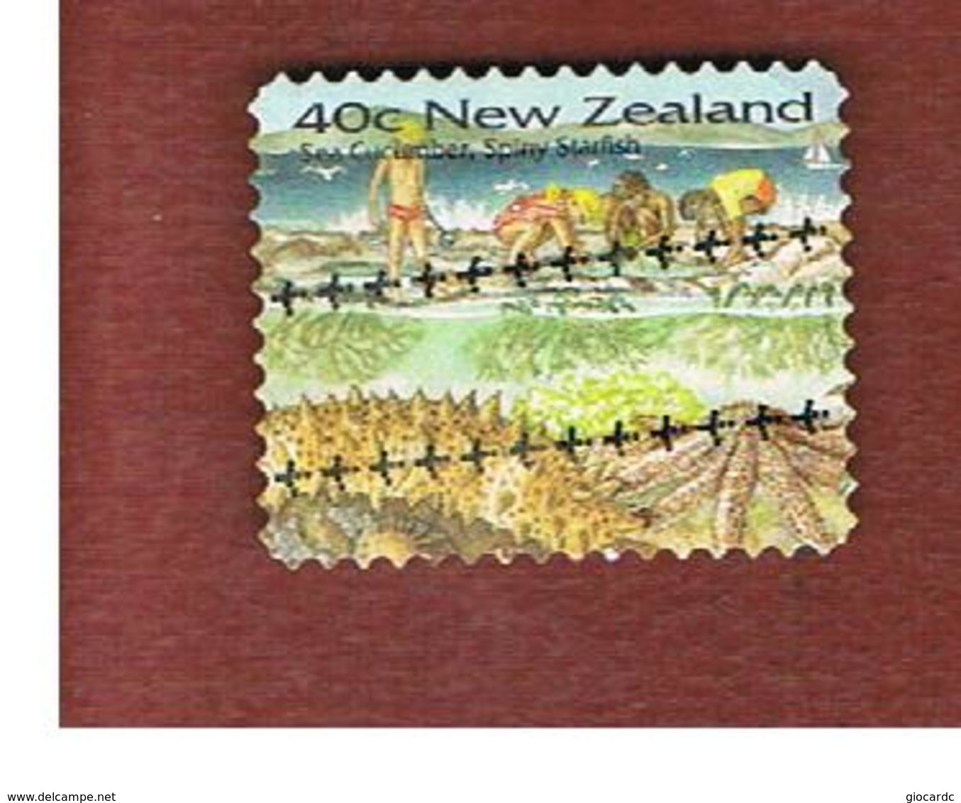 NUOVA ZELANDA (NEW ZEALAND) - SG 1969  -  1996   MARINE LIFE: STARFISH  -  USED° - Used Stamps