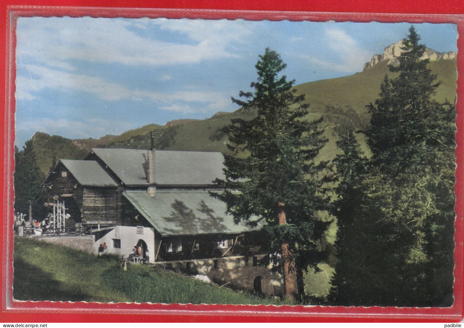 Carte Postale 74. Thollon  Brasserie  Le Belvédère  Très Beau Plan - Thollon