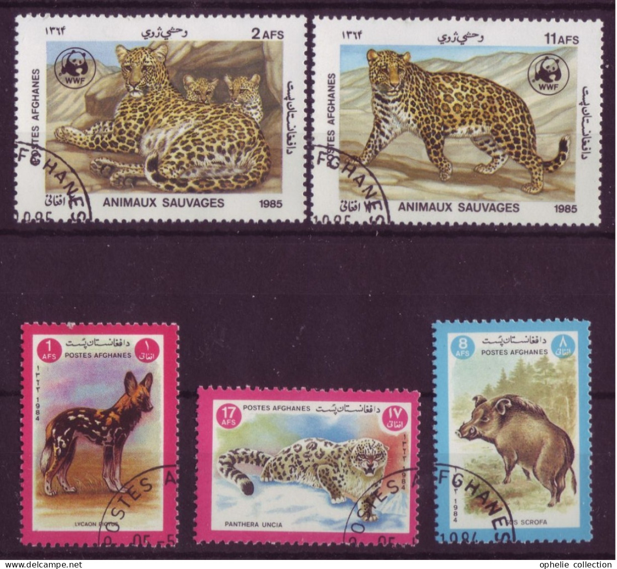 Asie - Afghanistan - Animaux Sauvages - 5 Timbres Différents - 7113 - Afganistán